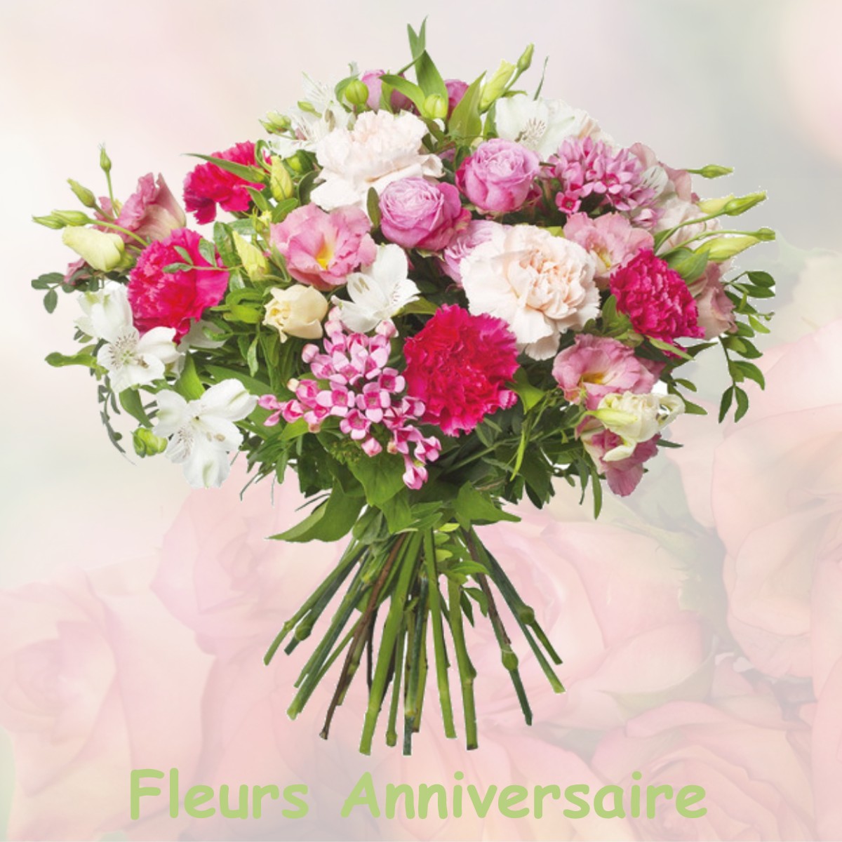 fleurs anniversaire NUILLE-SUR-VICOIN